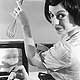 Holly Homemaker-Whisk