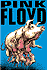 "Pink Floyd," 1994