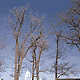 Repose 1